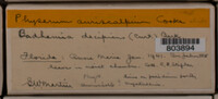 Image Associated With the Occurence